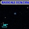 RASSCALS SS2b239.004