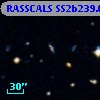 RASSCALS SS2b239.007