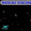 RASSCALS SS2b239.008