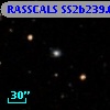 RASSCALS SS2b239.012
