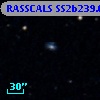 RASSCALS SS2b239.016