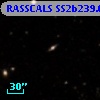 RASSCALS SS2b239.019