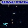 RASSCALS SS2b239.024