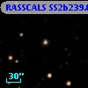 RASSCALS SS2b239.026