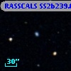 RASSCALS SS2b239.028