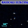 RASSCALS SS2b239.044