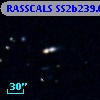 RASSCALS SS2b239.051