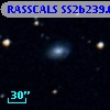 RASSCALS SS2b239.053