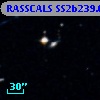 RASSCALS SS2b239.056