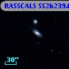 RASSCALS SS2b239.058