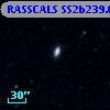 RASSCALS SS2b239.060