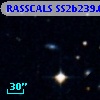 RASSCALS SS2b239.061