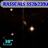 RASSCALS SS2b239.062