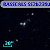 RASSCALS SS2b239.063