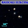RASSCALS SS2b239.067