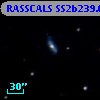 RASSCALS SS2b239.068