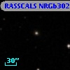 RASSCALS NRGb302.002