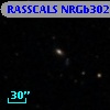 RASSCALS NRGb302.003