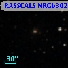 RASSCALS NRGb302.005