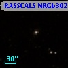RASSCALS NRGb302.010