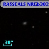 RASSCALS NRGb302.019