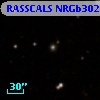 RASSCALS NRGb302.020