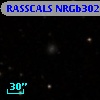 RASSCALS NRGb302.028