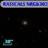 RASSCALS NRGb302.031