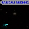 RASSCALS NRGb302.035