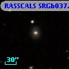 RASSCALS SRGb037.005