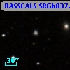 RASSCALS SRGb037.015