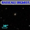 RASSCALS SRGb037.017