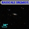 RASSCALS SRGb037.032