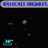 RASSCALS SRGb037.037