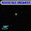 RASSCALS SRGb037.038