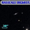 RASSCALS SRGb037.041