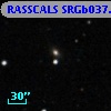 RASSCALS SRGb037.044