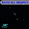 RASSCALS SRGb037.050