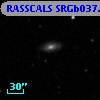 RASSCALS SRGb037.052