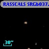 RASSCALS SRGb037.073