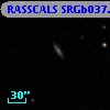RASSCALS SRGb037.082