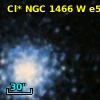 EV* N1466 V0005
