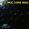 Cl* NGC 1466     WE      24