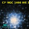 Cl* NGC 1466     WE      31