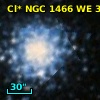 Cl* NGC 1466     WE      32