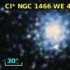 Cl* NGC 1466     WE      41