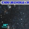 CXOU J013436.6+304314