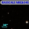RASSCALS NRGb345