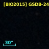 [CBS2006]   409