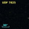 [CBS2006]  7825